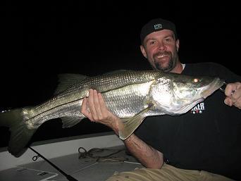 Palm Beach Snook