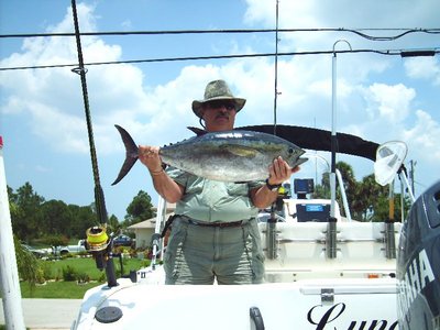 Batte with a Blackfin Tuna