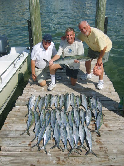 Spanish Mackerel