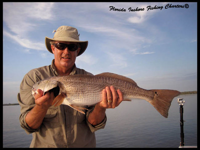 Mosquito Lagoon Red Drum