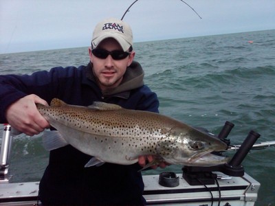 7lb Brown Trout