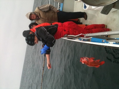 Sabrina descends a nice vermillion