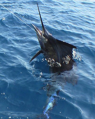 Let us put you on the other end of this picture