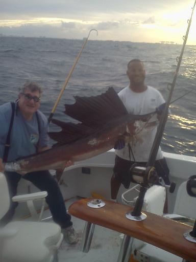 Sailfish Happy Day Today