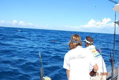 Sailfish at the boat!