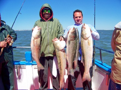 Dr. Sal and Chris limits...