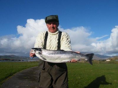 Wild Atlantic Salmon, caught on troll