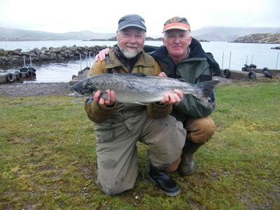 Wild Atlantic Salmon