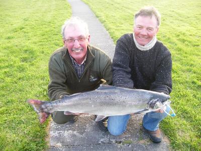 Wild Atlantic Salmon