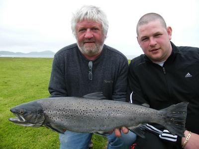 Wild specimen Sea Trout