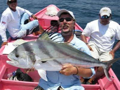 Big Roosters being caught