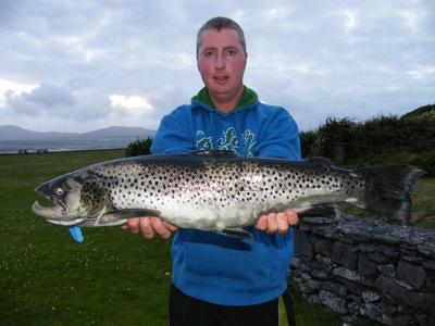 Wild Sea Trout caught on Waterville Lake