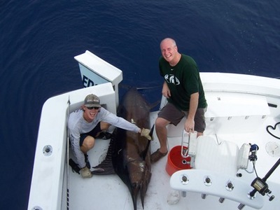 blue marlin fort lauderdale