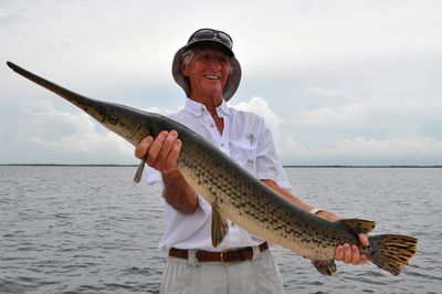 Suprise! It's a Garfish not a Redfish