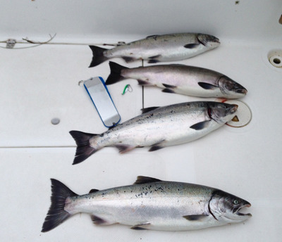 Sept 14 fishing with Salmon Eye Charters