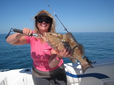 23-inch redfish on shrimp
