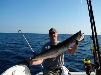 Big Kingfish In Stuart