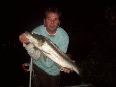 A nice 34 inch Snook