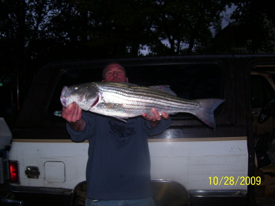 Today's keeper out of eleven.