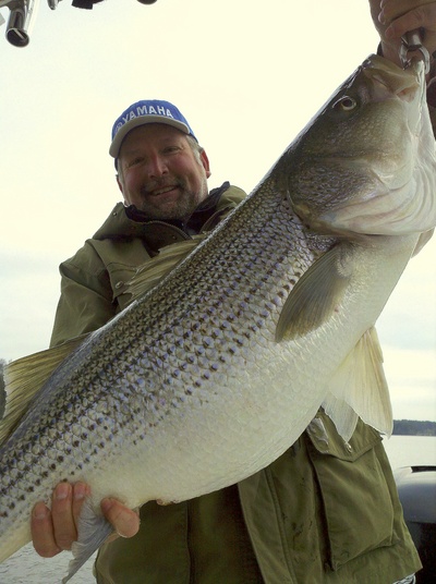 30lbs Lake Lanier Striped Bass