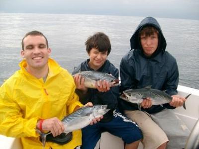 Triple Eastern Little Tuna Hook up