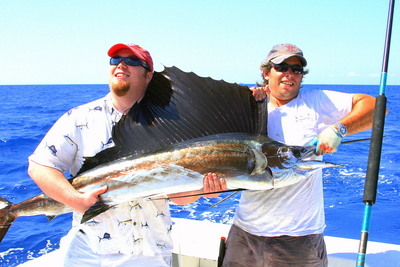 Ft Pierce Sailfish