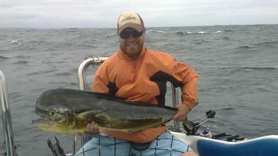 Bull Dorado (Mahi Mahi)