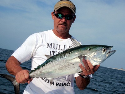 hting Bonito caught from Boca Grande Pass