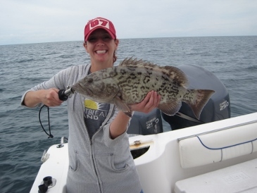 23 1/2-inch gag grouper