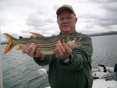 Tiger Fish on Topwater