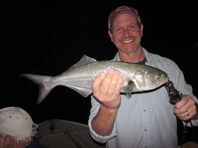 Tim Hearon, from Siesta Key, FL, with a hefty bluefish caught and released on a Grassett Snook Minnow fly while fishing dock lights in the ICW near Venice at night with Capt. Rick Grassett.