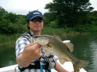 Large Mouth Bass on Topwater