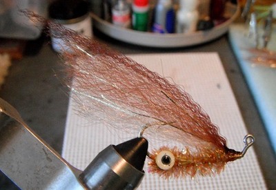 Tod's Simple Shrimp #2 by Gary griffin