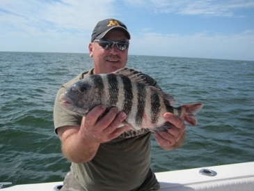 20-inch sheepshead