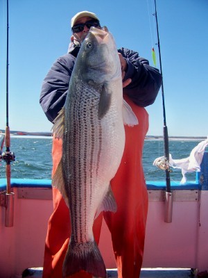 Tom Krako, 28 pounds