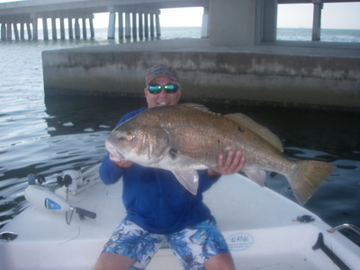 Big Black drum on light tackle