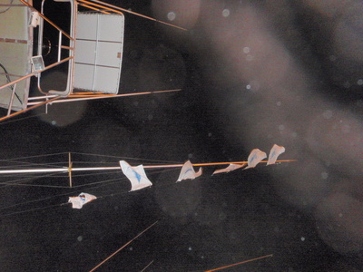 Sailfish release flags flying