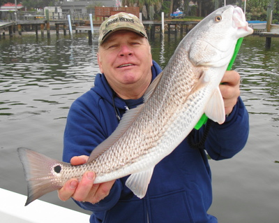 Top catches a nice winter red swimming a jig with Captain C.A. Richardson