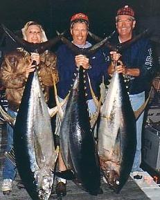 Some of our bigger fish Caught on Bloodshot lures