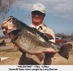 This is Valentine. 17 lb. 4 oz.