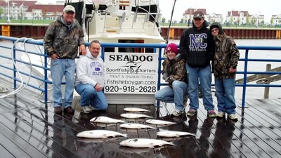 Morning Catch of Salmon