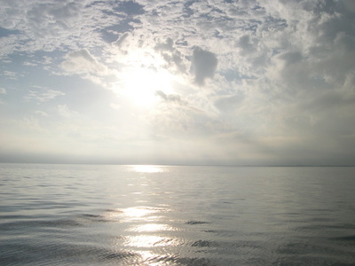 Beautiful Tampa Bay morning