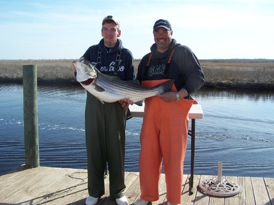 A nice spring striper