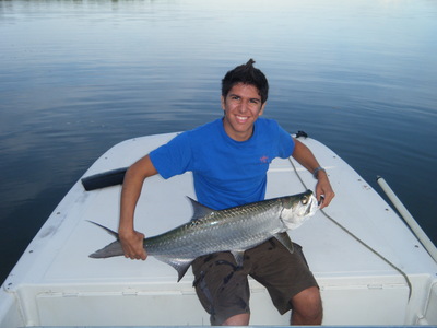 Baby Tarpon