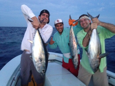 Twilight Tunas