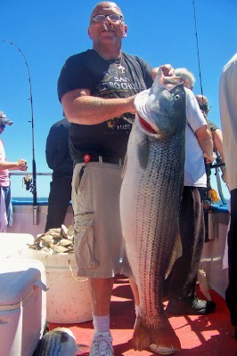 Vinny 34 pounder