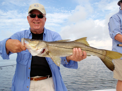 This snook measured just shy of thirty-two inches and chased down a live shiner on the retrieve