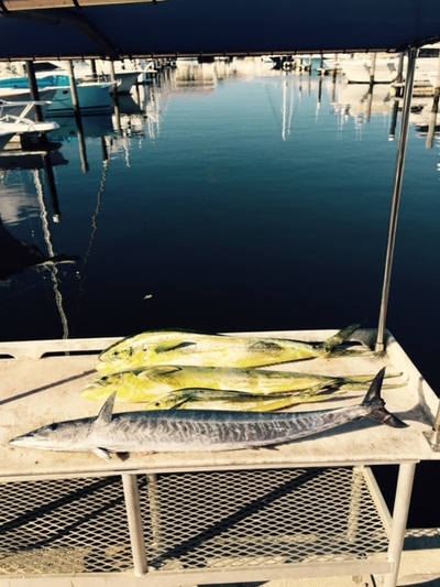 Jupiter Fishing Charters