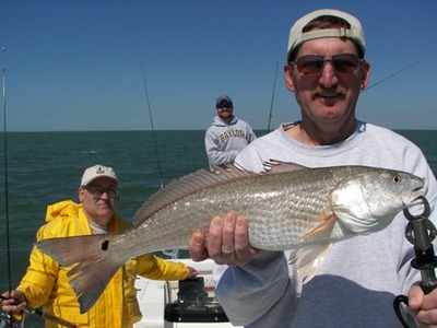 Sanibel Redfish