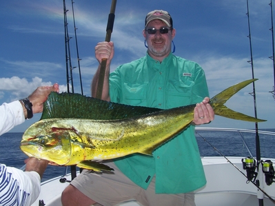 Dolphin Mahi Mahi